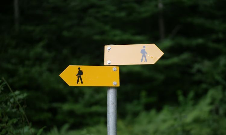 Comment choisir son engagement : bénévolat, mécénat de compétences, volontariat, service civique