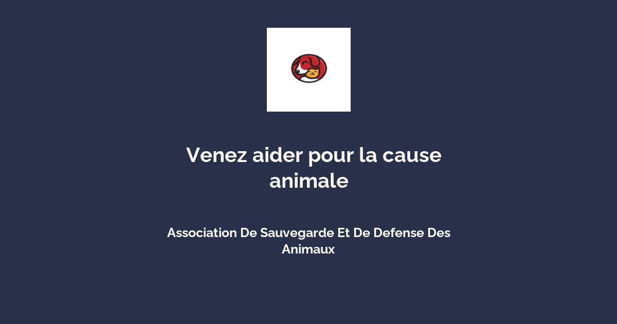 Bénévolat pour la cause animale avec Association De Sauvegarde Et De Defense Des Animaux Santé