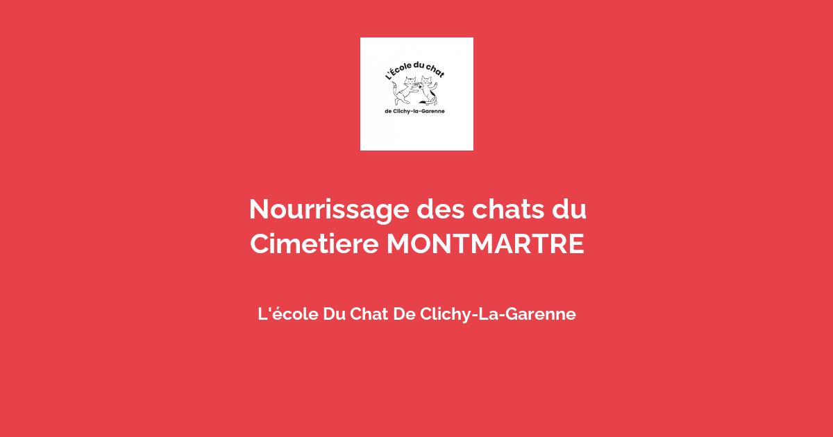 Ecole Du Chat Libre De Clichy La Garenne